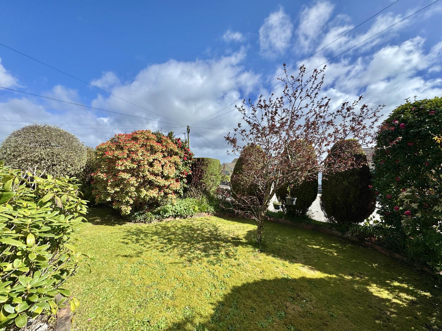 Kerley Grove, Truro